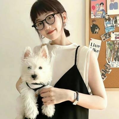 乡村检察官